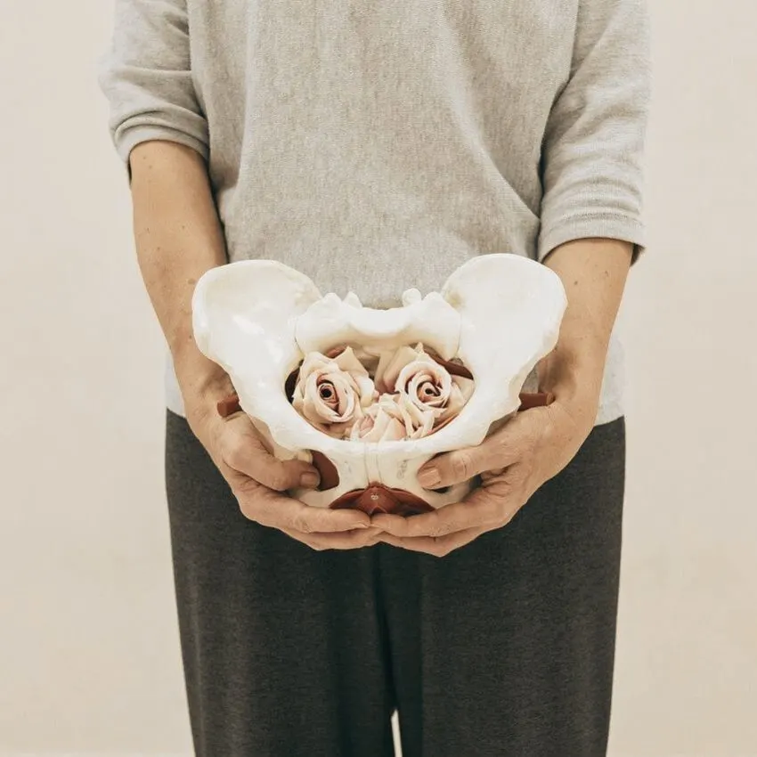 Pelvic Floor Rehabilitation